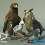 BIRDS PACK v2.1