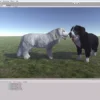 Dog – Tatra Sheepdog