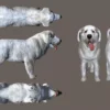 Dog – Tatra Sheepdog