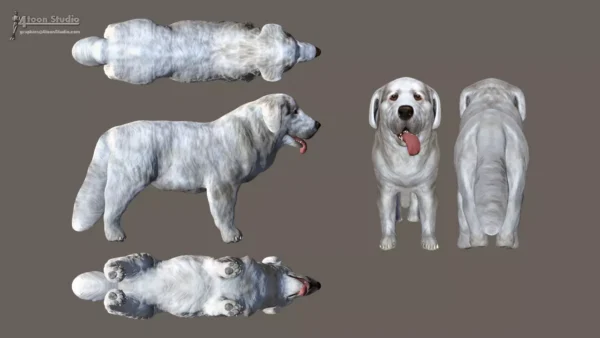Dog – Tatra Sheepdog