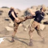Fighting Animset Pro