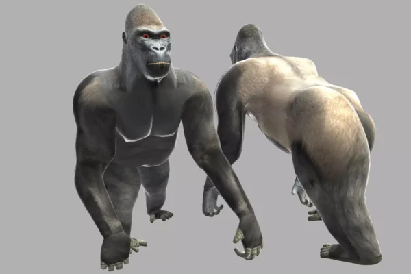 Gorilla