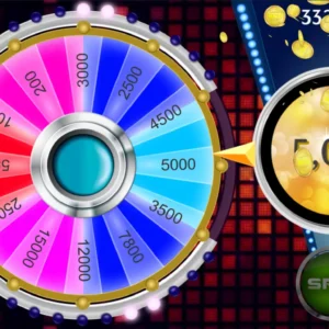 Fortune Spin Wheel