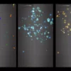 Match3 Game Effect Collection