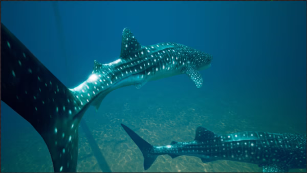 Ocean Animals MEGA Pack