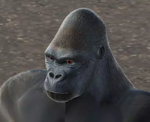 Gorilla
