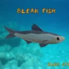 Low Poly Fish Pack 1