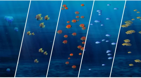 Fish Pack